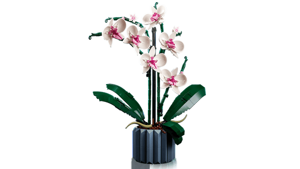 Lego Botanicals 10311 L’orchidée