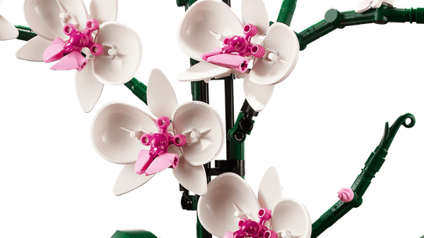 Lego Botanicals 10311 L’orchidée