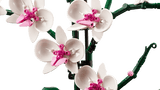 Lego Botanicals 10311 L’orchidée