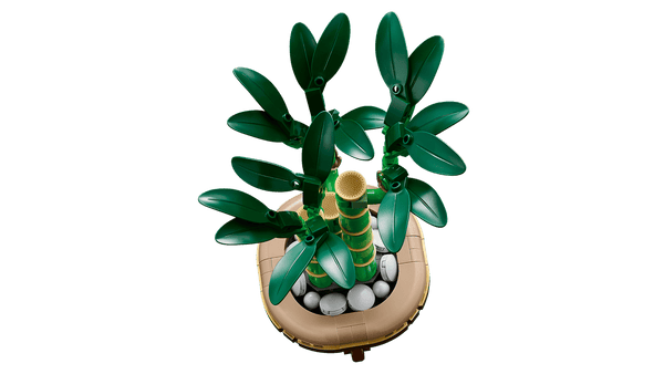 Lego Botanicals 10344 - Le bambou de la chance