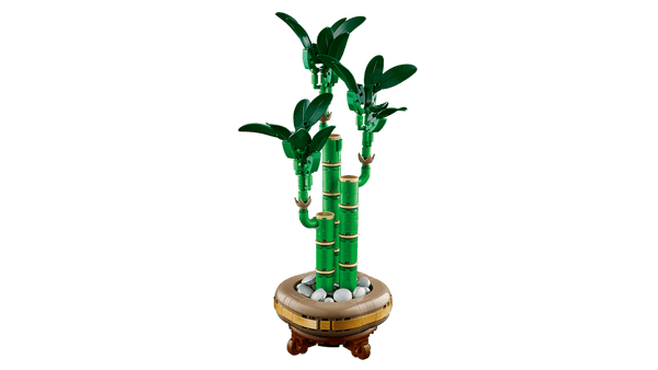 Lego Botanicals 10344 - Le bambou de la chance