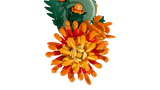 Lego Botanicals 10368 Le chrysanthème