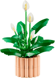 Lego Botanicals 11504 Les fleurs de lune