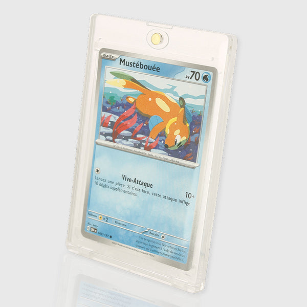 Phoenix Shield- Pack de 5 Protections Magnétiques