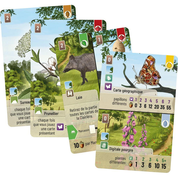 Forêt Mixte Extension - Lisière de Forêt