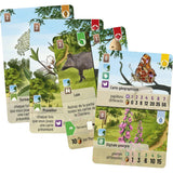 Forêt Mixte Extension - Lisière de Forêt