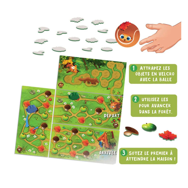 Le Hérisson qui Roule à Pic