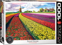 Puzzle 1000 pièces Champs de Tulipes