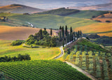Puzzle 1000 pièces paysages de la Toscagne